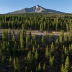 TBD Sawtooth Road