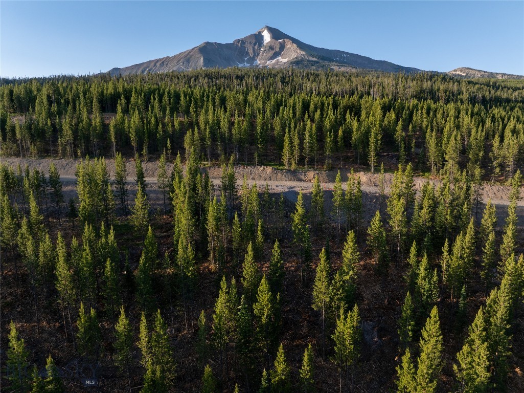 TBD Sawtooth Road