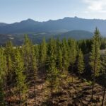 Big Sky MT 59716 - 1