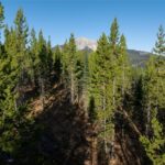 Big Sky MT 59716 - 1