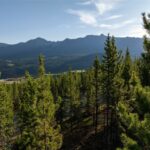 Big Sky MT 59716 - 2