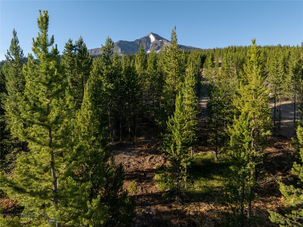 Big Sky MT 59716 - 1