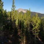 Big Sky MT 59716 - 1