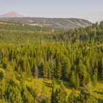 TBD Seclusion Point Lot 154