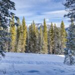 Big Sky MT 59716 - 6