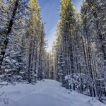 Big Sky MT 59716 - 5