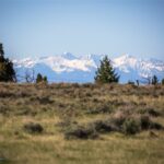 Belgrade MT 59714 - 7