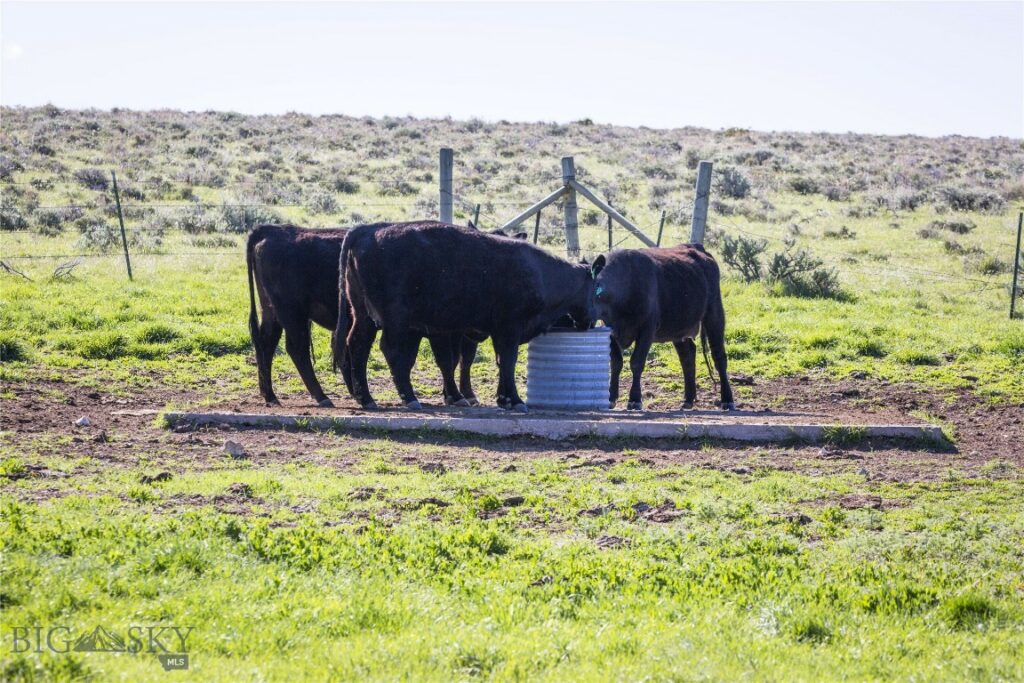 Belgrade MT 59714 - 2