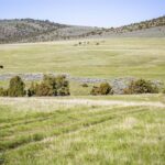 Belgrade MT 59714 - 4