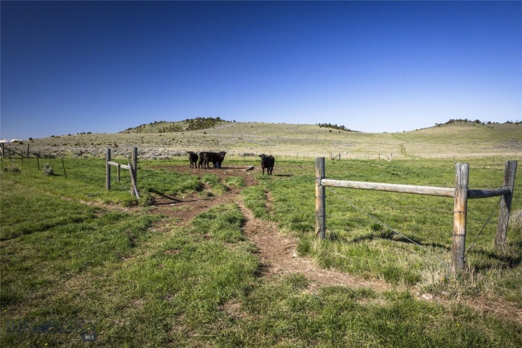 Belgrade MT 59714 - 5