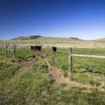 Belgrade MT 59714 - 5