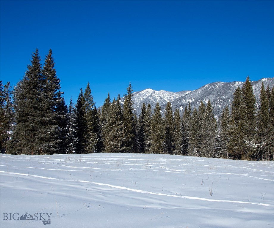 Big Sky MT 59716 - 15