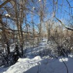 Bozeman MT 59715 - 8