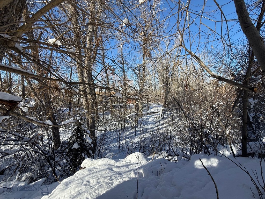 Bozeman MT 59715 - 8