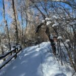 Bozeman MT 59715 - 9