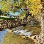 Bozeman MT 59715 - 3