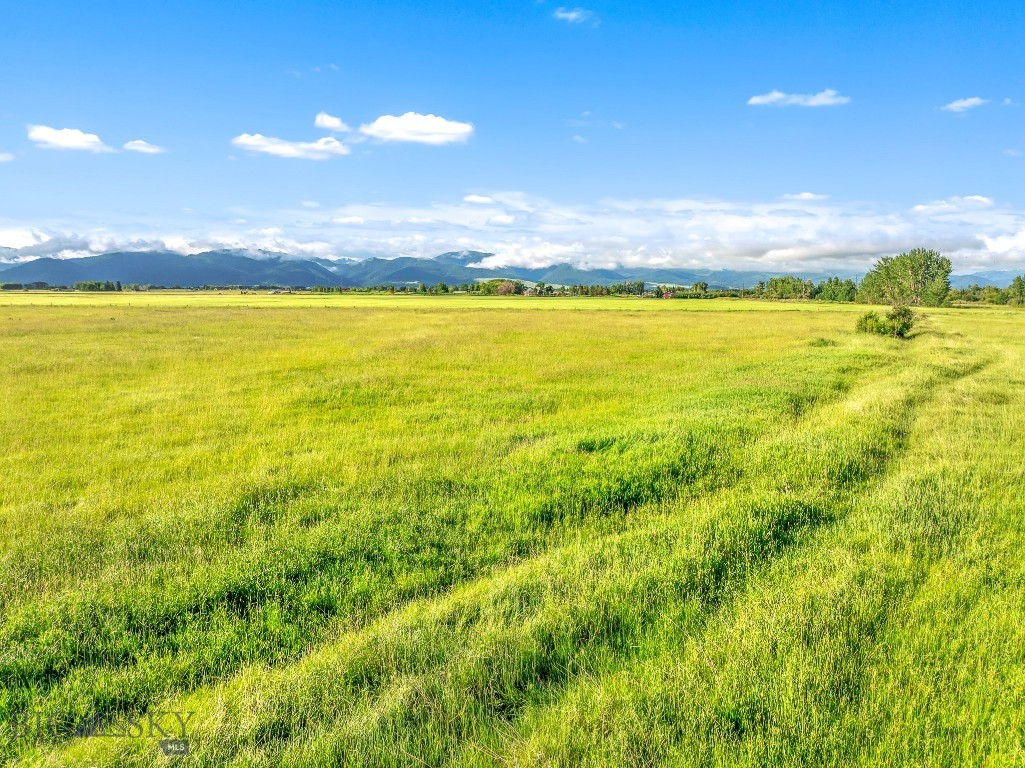 Bozeman MT 59718 - 6