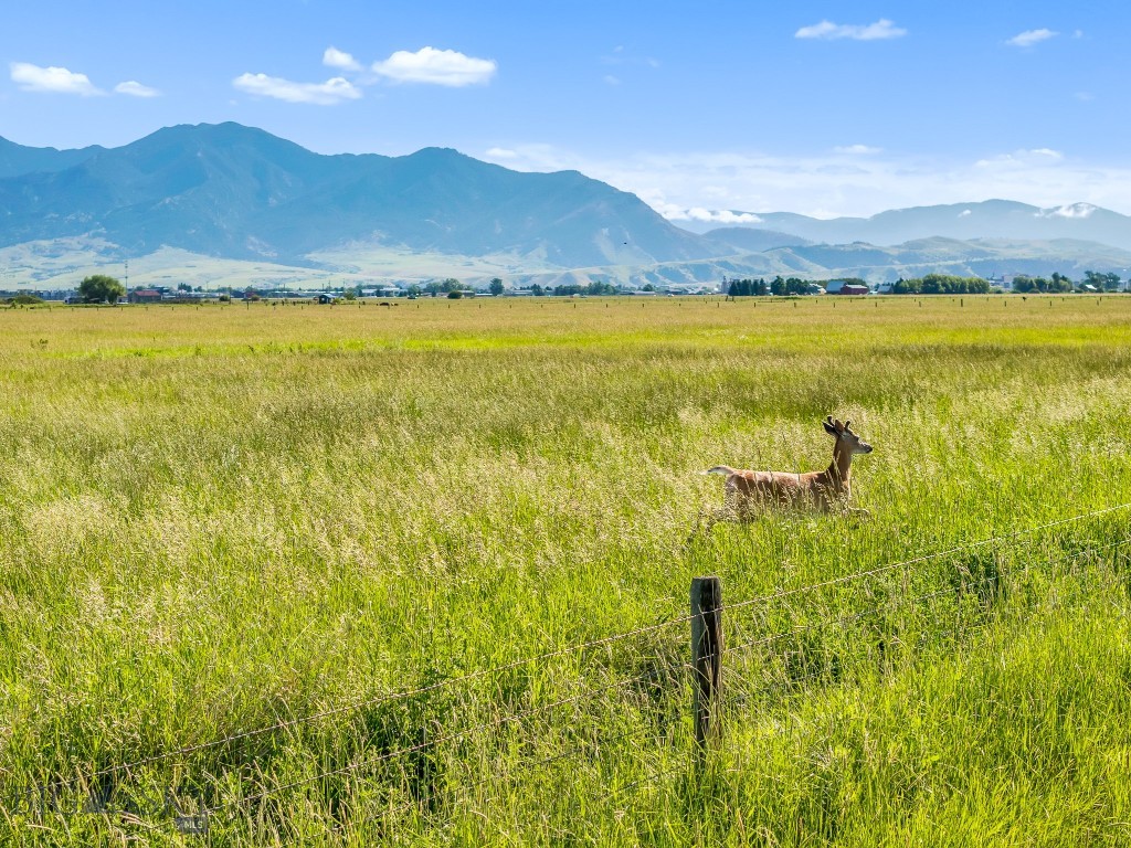 Bozeman MT 59718 - 3