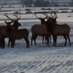 TBD Springhill Road and Penwell Bridge Road Roads