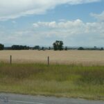 TBD Springhill Road and Penwell Bridge Road Roads