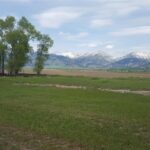 Belgrade MT 59714 - 5