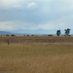 TBD Springhill Road