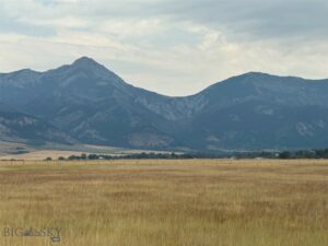 TBD Springhill Road, Belgrade MT 59714