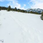 Big Sky MT 59716 - 20