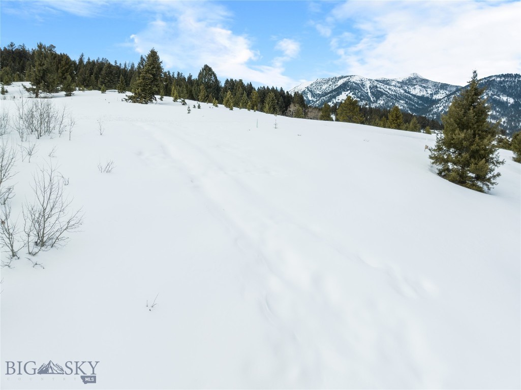 Big Sky MT 59716 - 20