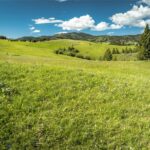 Bozeman MT 59715 - 2