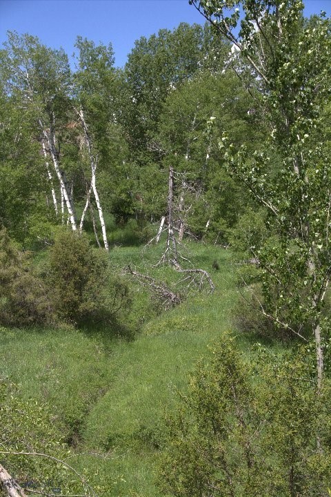 TBD Sunrise Ridge Trail