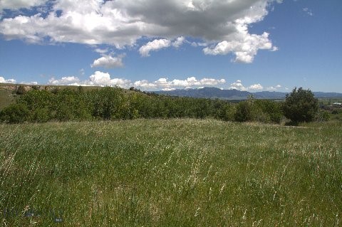 TBD Sunrise Ridge Trail