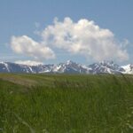 Bozeman MT 59718 - 9