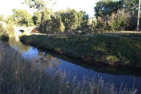 TBD Sunrise Ridge Trail