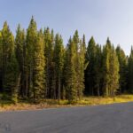 Big Sky MT 59716 - 4