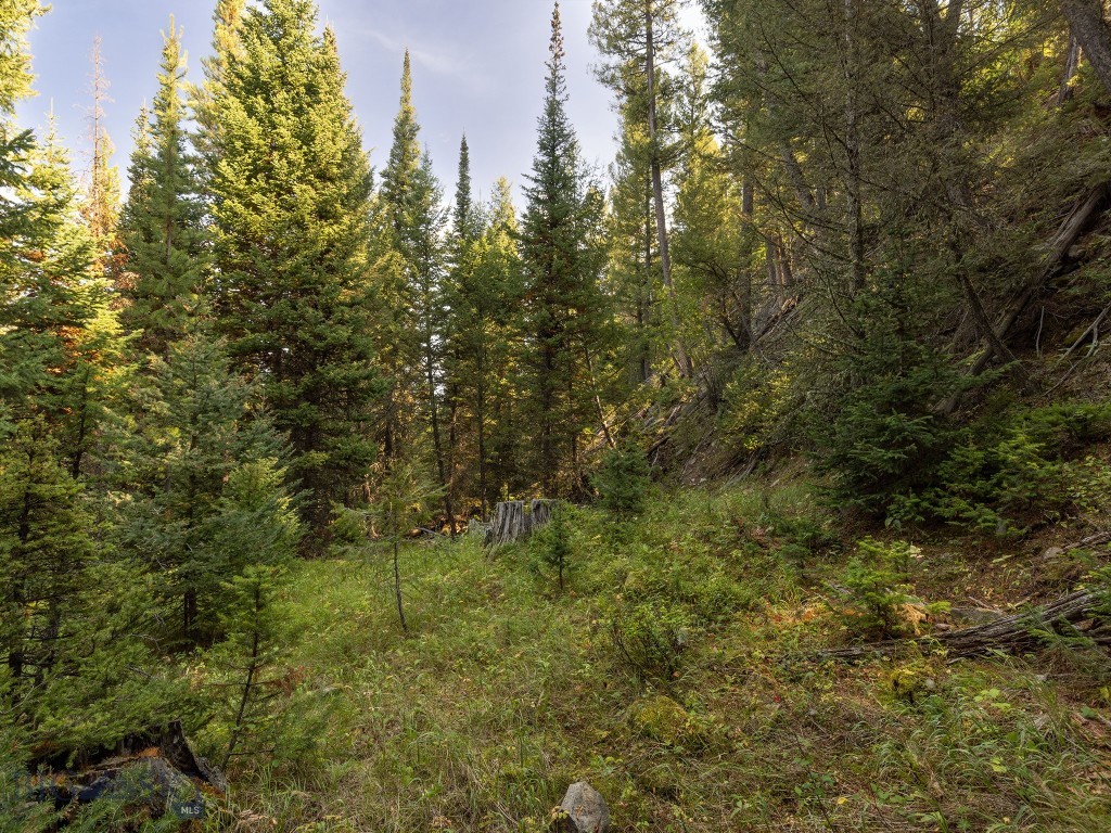 Big Sky MT 59716 - 5