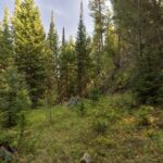 Big Sky MT 59716 - 5