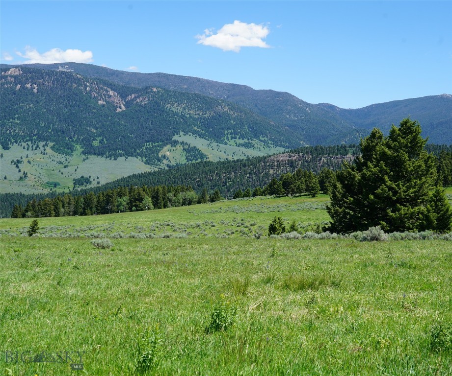 Big Sky MT 59716 - 7