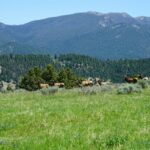 Big Sky MT 59716 - 14