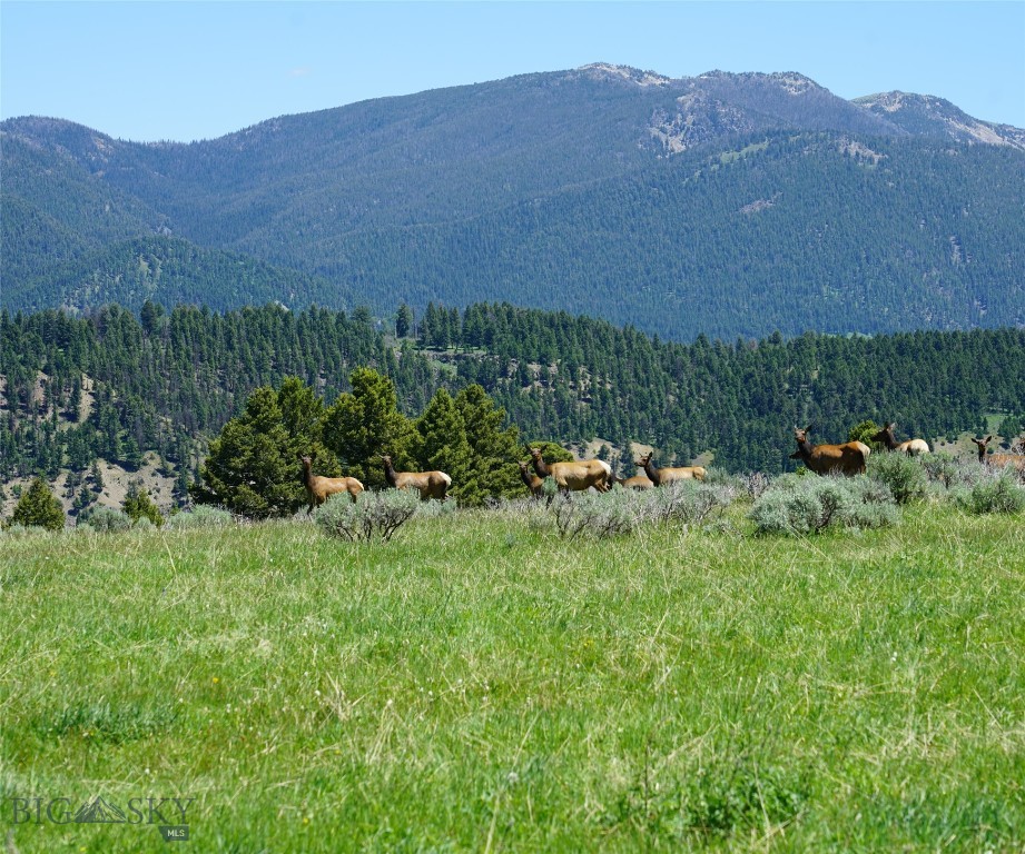 Big Sky MT 59716 - 14