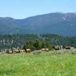 Big Sky MT 59716 - 15