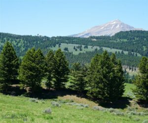TBD Timberloft, Big Sky MT 59716