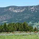 Big Sky MT 59716 - 17