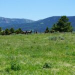 Big Sky MT 59716 - 25