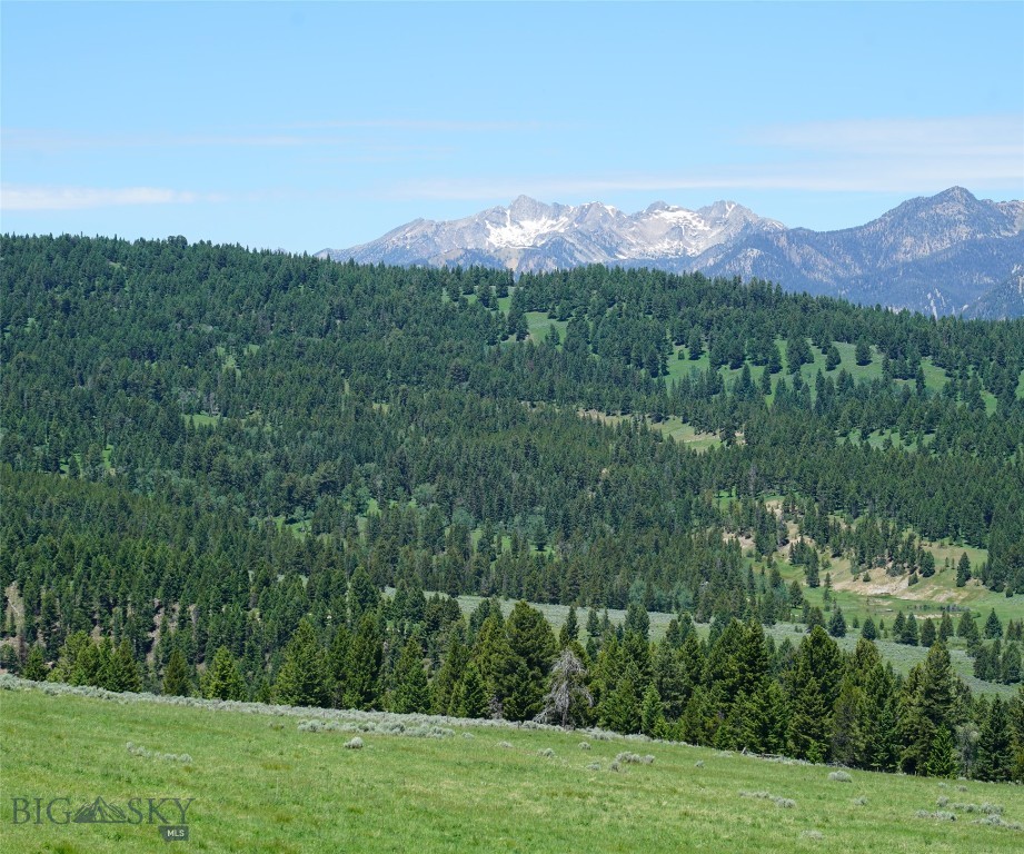 Big Sky MT 59716 - 5