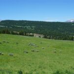 Big Sky MT 59716 - 6