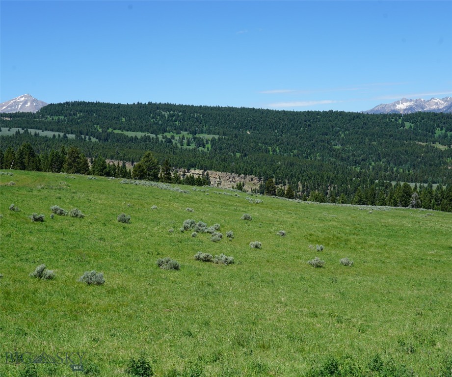 Big Sky MT 59716 - 6