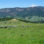 Big Sky MT 59716 - 7