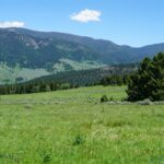 Big Sky MT 59716 - 8