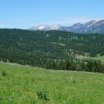 Big Sky MT 59716 - 10